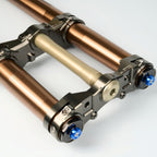 TRAXION | 260mm Travel - Surron Ultra Bee